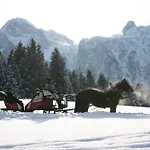 Schoerghof أبتيناو