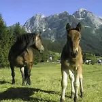 مزرعة للإقامة Schoerghof أبتيناو