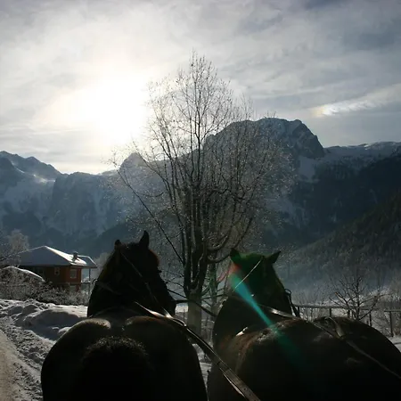 Bauernhof Schörghof *