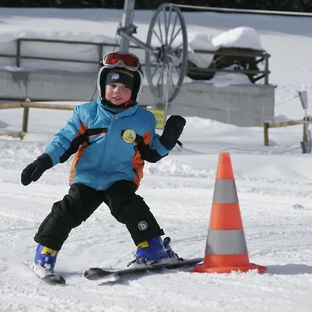 Bauernhof Schörghof Abtenau