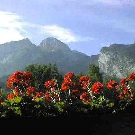 Schörghof Bauernhof *