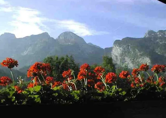 Schoerghof Farm stay *